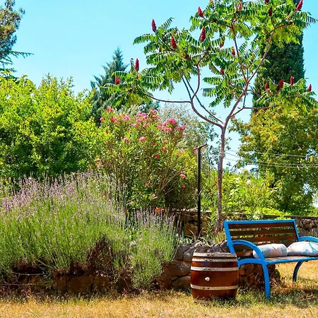 Mia By Interhome Appartamento Dobrinj